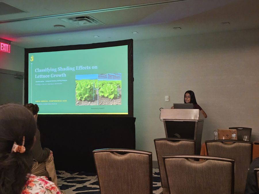 Areesha Imtiaz presenting on classifying shading effects on agrivoltaic lettuce growth