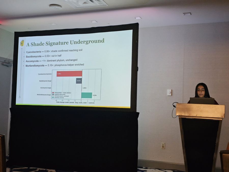 Areesha Imtiaz presenting soil fungal community changes under agrivoltaic panels