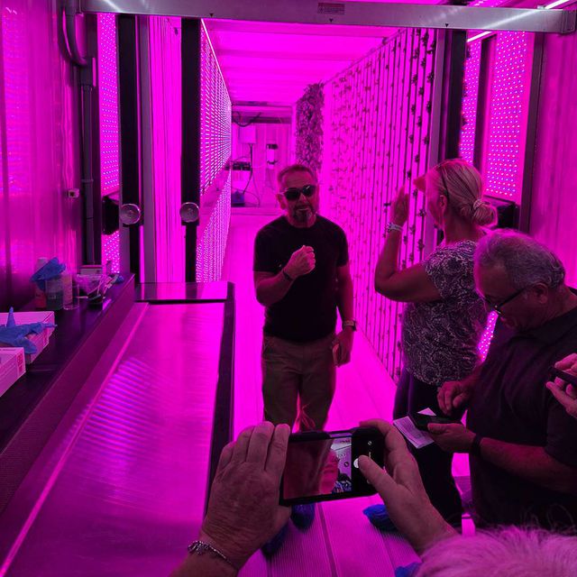 Nursery association members inside the container vertical farm under pink grow lights