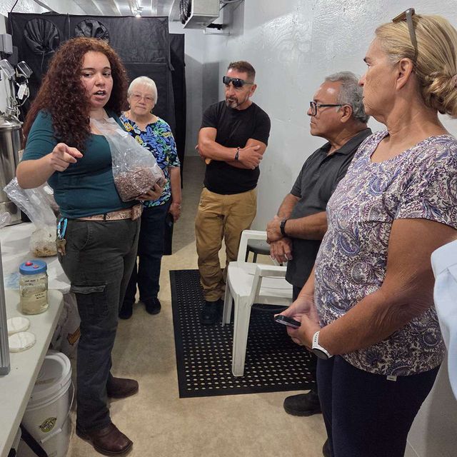 A student showing mushroom substrate to visitors in the production room