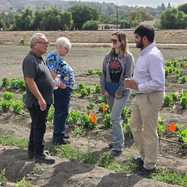The lab team talking with visitors among the Spadra Farm crop beds
