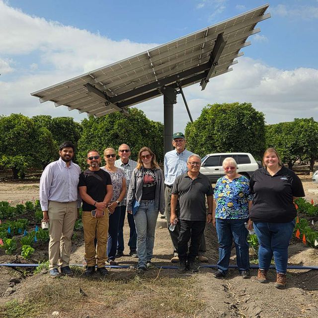 Visitors and the lab team in front of a solar panel at the Spadra agrivoltaic site